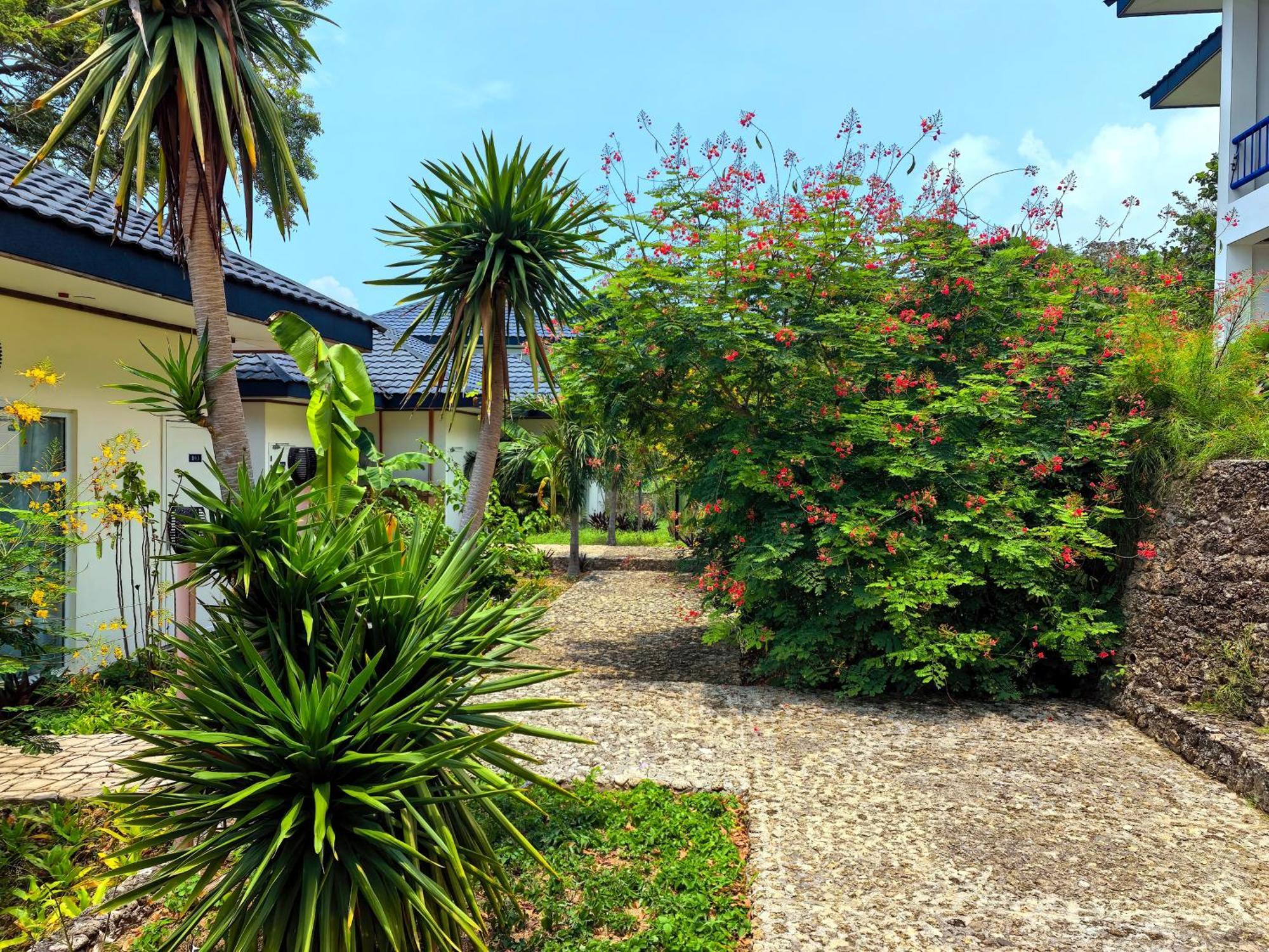 Blue Joys Msr Hotel Siquijor Exterior photo